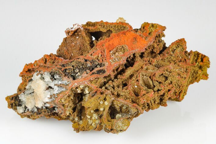 Limonite Pseudomorphs after Legrandite - Ojuela Mine, Mexico #183769